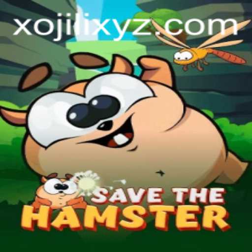 Exploring the Dynamic World of SavetheHamster and the Unique Element of Xojili